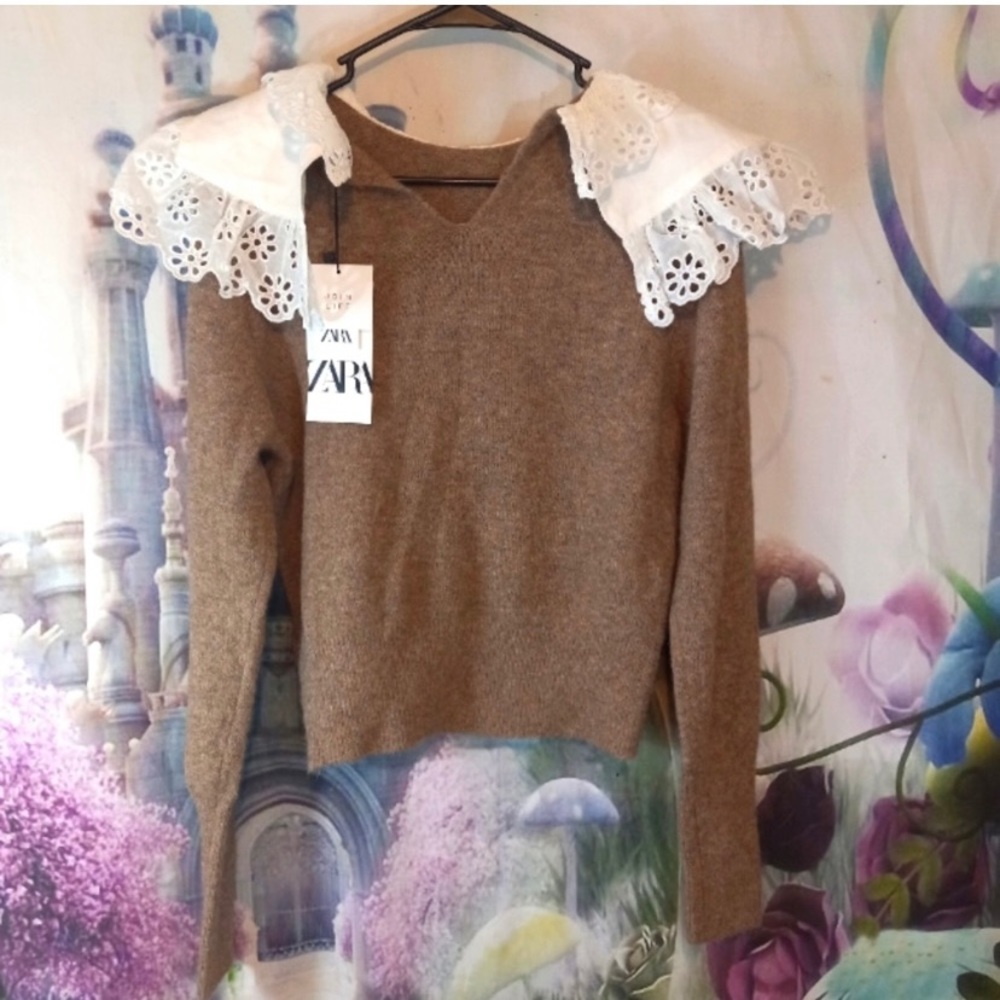 Zara Brown Cotton Sweater.